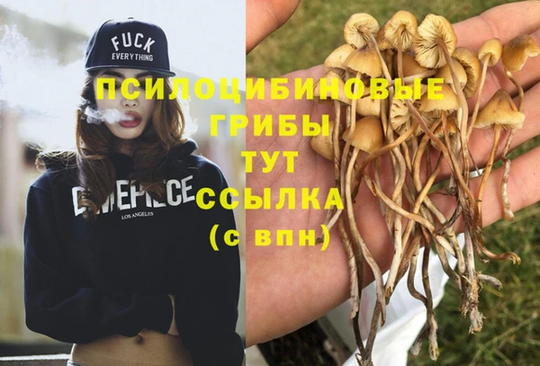 MDMA Богородицк