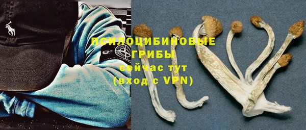 MDMA Богородицк
