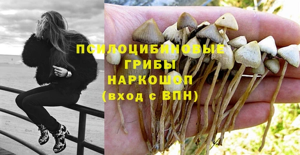 jwh Богданович