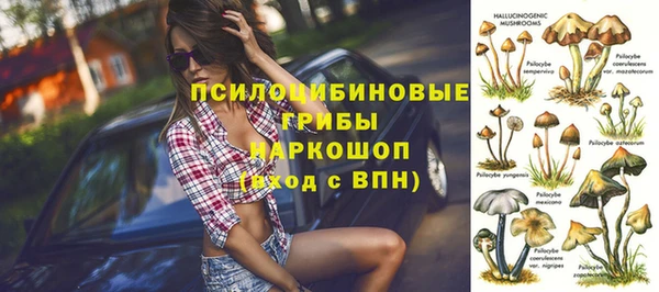 MDMA Богородицк